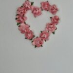 12 Pink Roses