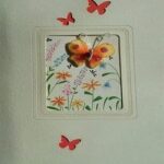 Butterfly C