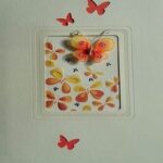 Butterfly D